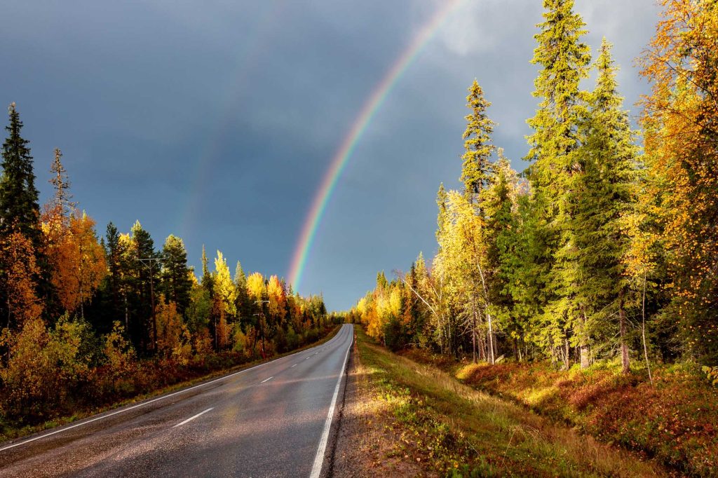 Erlebnisse Lappland Herbstfarben Ruska Lappland Finland