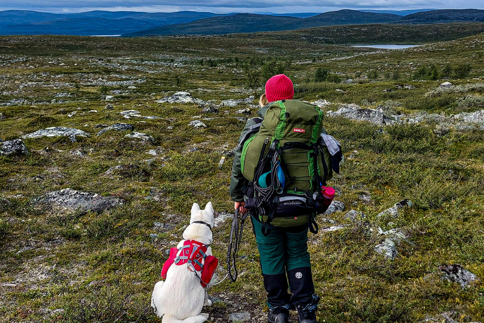 Boutique Journeys Guided Lapland holidays in Ylläs