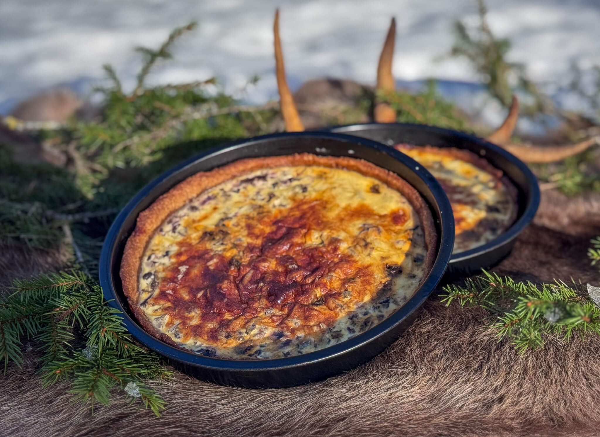 Lapland brunch experience mushroom pie Lavvo Brunch Lappland