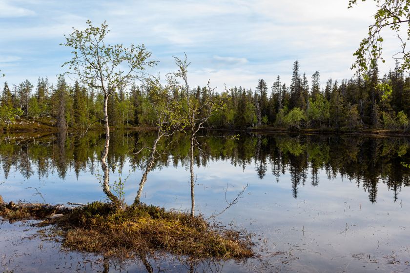 Jedermannsrechte Finnland